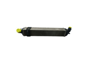 Echangeur air (Intercooler) RENAULT LAGUNA 3 Photo n°7