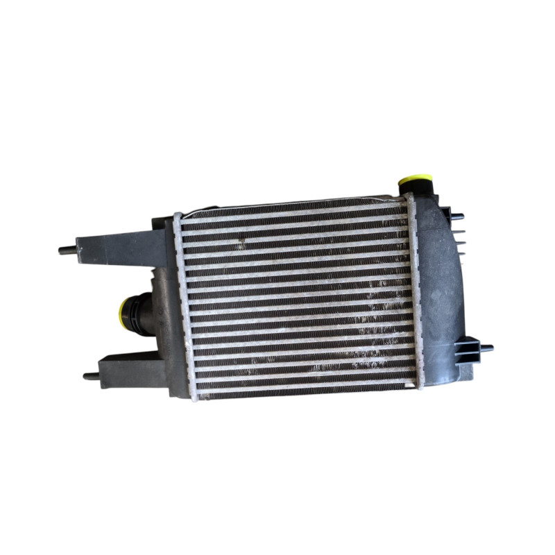 Echangeur air (Intercooler) NISSAN JUKE 1 Photo n°1