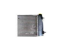 Echangeur air (Intercooler) NISSAN JUKE 1 Photo n°5