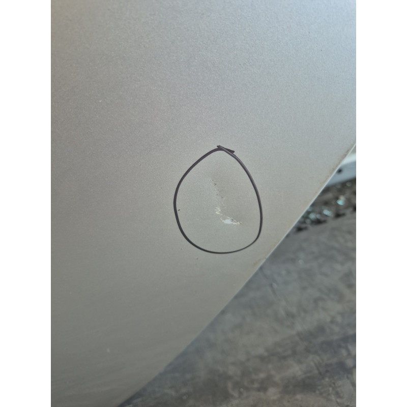 Porte arriere gauche RENAULT CLIO 3 Photo n°1