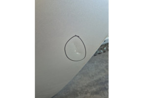 Porte arriere gauche RENAULT CLIO 3 Photo n°1