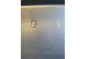 Porte arriere gauche RENAULT CLIO 3 Photo n°2