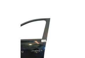 Porte avant gauche RENAULT SCENIC 3 Photo n°1