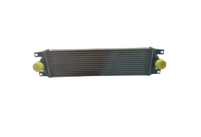 Echangeur air (Intercooler) RENAULT MASTER 2 Photo n°3