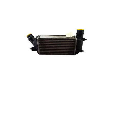 Echangeur air (Intercooler) CITROEN JUMPY 2