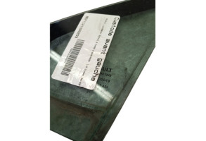 Custode avant gauche (porte) RENAULT SCENIC 3 Photo n°4