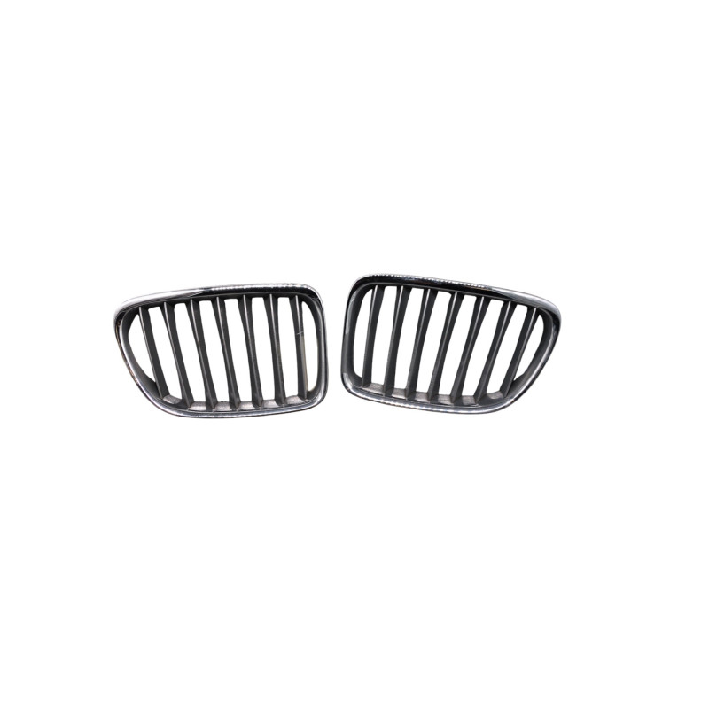 Calandre BMW X1 E84 Photo n°1