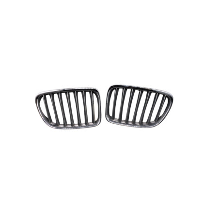 Calandre BMW X1 E84