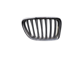 Calandre BMW X1 E84 Photo n°5