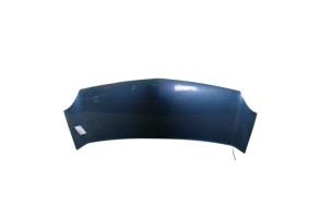 Capot RENAULT KANGOO 2 Photo n°7
