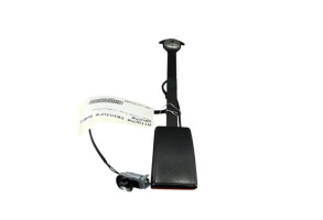 Attache ceinture avant gauche RENAULT TALISMAN Photo n°2