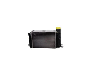 Echangeur air (Intercooler) RENAULT TALISMAN Photo n°5