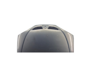 Capot RENAULT MEGANE 1 Photo n°7