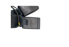 Attache ceinture arriere gauche RENAULT TALISMAN Photo n°5