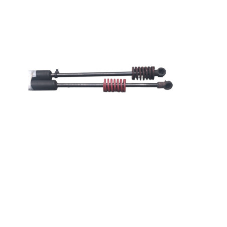 Verin de coffre BMW SERIE 1 F20