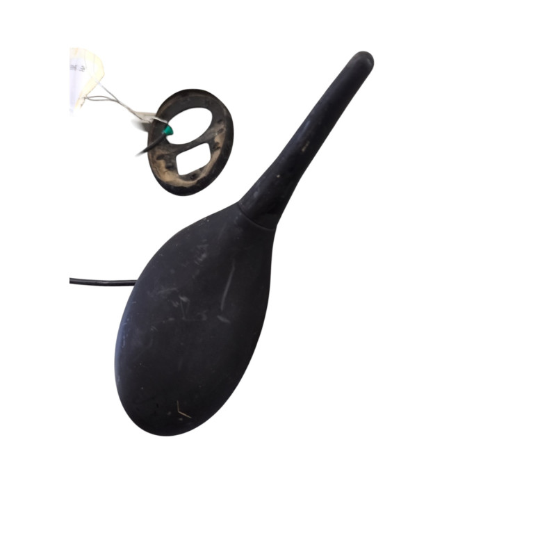 Antenne CITROEN C5 2 Photo n°1