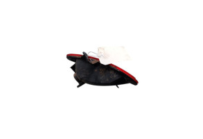 Anti brouillard arriere droit RENAULT ARKANA Photo n°1