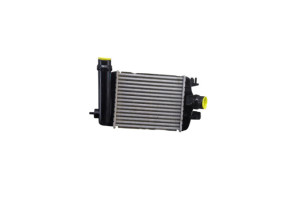 Echangeur air (Intercooler) RENAULT ARKANA Photo n°6
