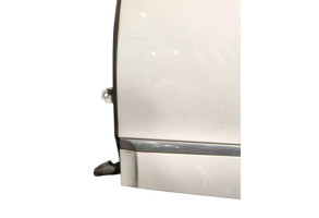 Porte arriere gauche RENAULT SCENIC 3 Photo n°11