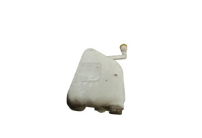 Vase d'expansion RENAULT SCENIC 3 Photo n°1