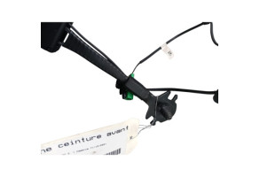 Attache ceinture avant droit DACIA SANDERO 3 Photo n°3