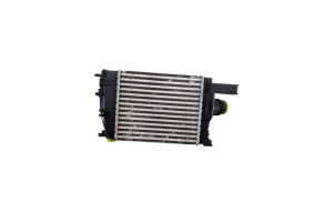 Echangeur air (Intercooler) DACIA SANDERO 2 Photo n°1