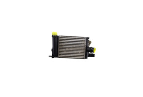 Echangeur air (Intercooler) DACIA SANDERO 2 Photo n°4