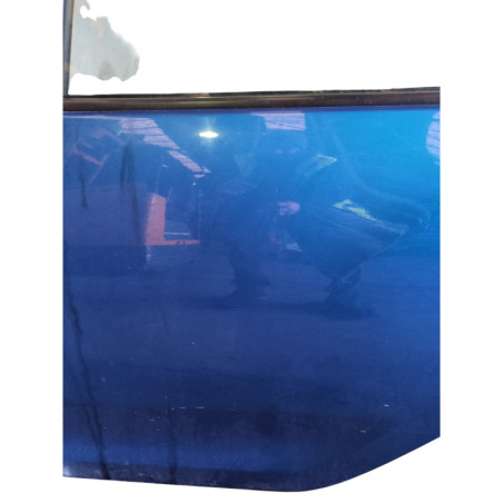 Porte arriere gauche DACIA SANDERO 2