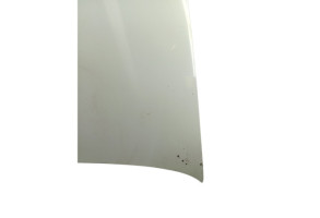 Capot FIAT PANDA 2 Photo n°5