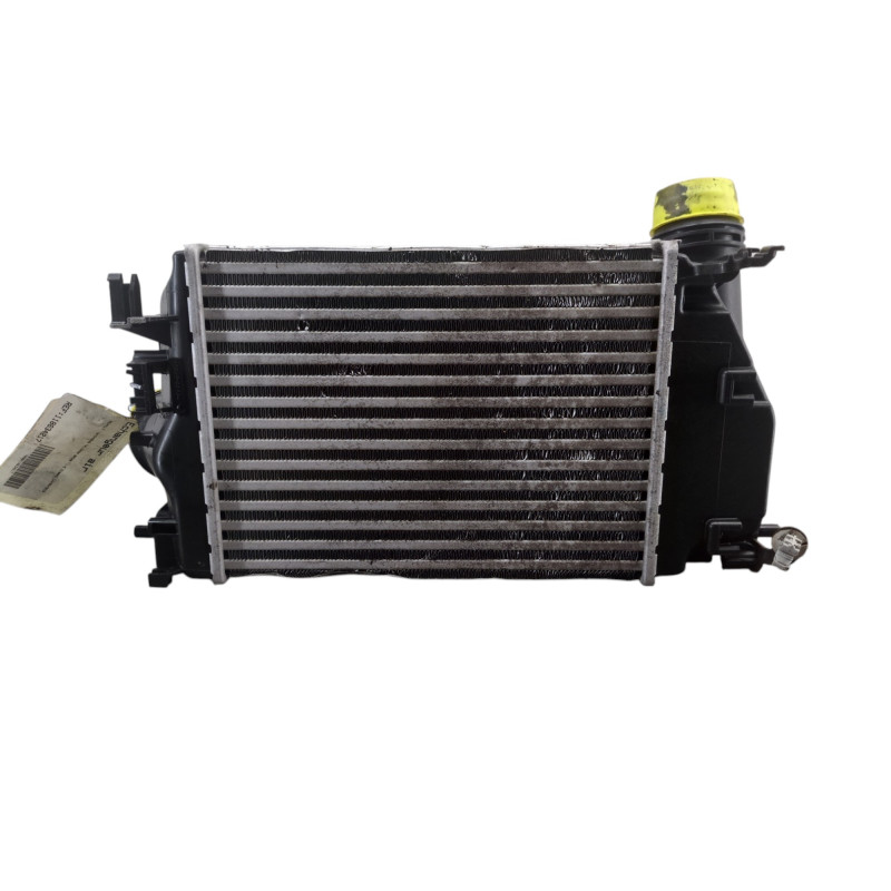 Echangeur air (Intercooler) RENAULT TALISMAN Photo n°1