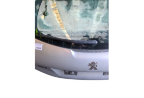 Malle/Hayon arriere PEUGEOT 208 1 Photo n°9