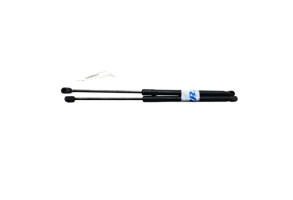 Verin de coffre VOLKSWAGEN EOS Photo n°1