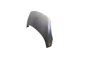 Capot RENAULT SCENIC 3 Photo n°2