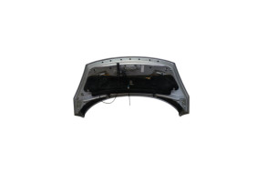 Capot RENAULT SCENIC 3 Photo n°9