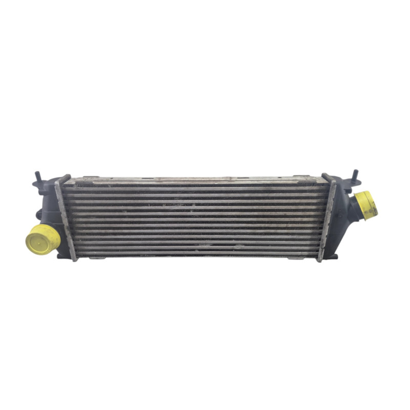 Echangeur air (Intercooler) RENAULT TRAFIC 2 Photo n°1
