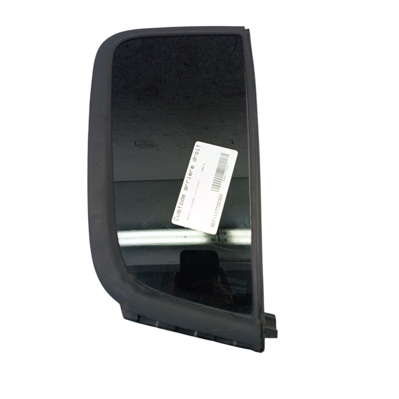 Custode arriere droit (porte) RENAULT CLIO 3 Photo n°1