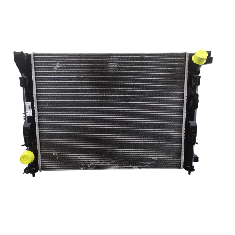 Radiateur eau RENAULT CLIO 5 Photo n°1