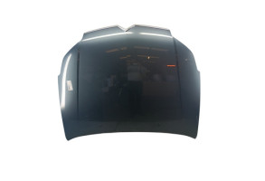 Capot CITROEN C5 1 Photo n°3
