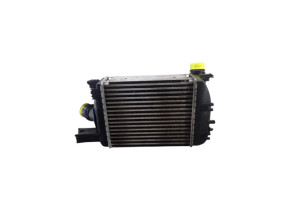 Echangeur air (Intercooler) DACIA DOKKER Photo n°7