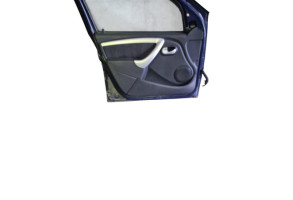 Porte avant gauche DACIA SANDERO 1 Photo n°6