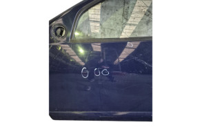 Porte avant gauche DACIA SANDERO 1 Photo n°12