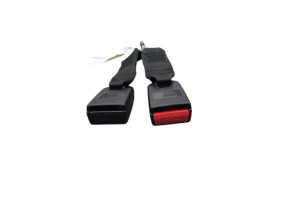 Attache ceinture arriere gauche DACIA SANDERO 1 Photo n°3