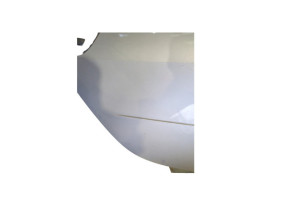 Porte arriere droit SMART FORFOUR 1 Photo n°4