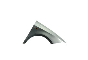 Aile avant droit SEAT IBIZA 4 Photo n°1