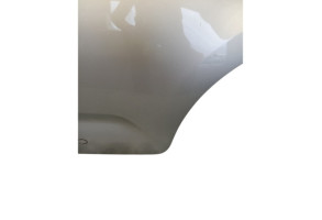 Porte arriere gauche CITROEN C3 2 Photo n°2