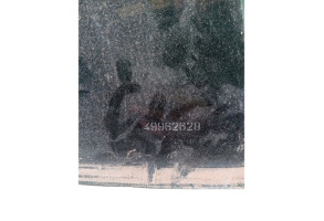 Custode arriere droit (porte) RENAULT MEGANE 3 Photo n°3