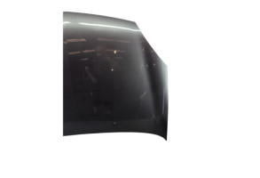 Capot RENAULT CLIO 2 Photo n°1