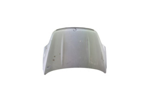 Capot FORD KUGA 1 Photo n°3