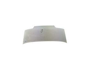 Capot FIAT DUCATO 2 Photo n°3