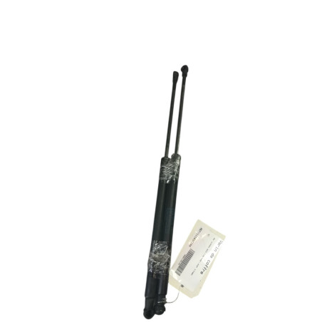 Verin de coffre BMW SERIE 1 F20